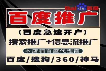 案例展示：SEM助力中小企业拓展市场